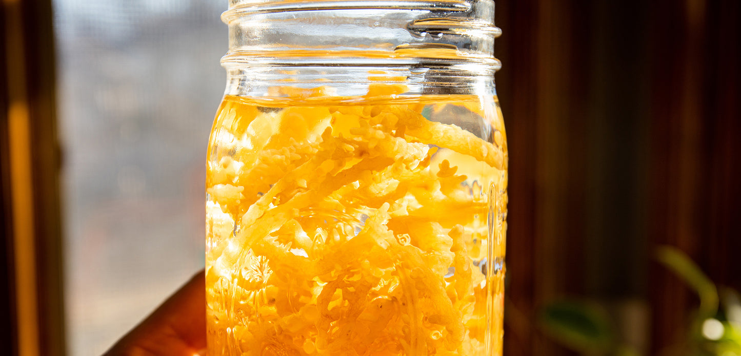Shen Blossom's Coral Seaweed rehydrates in a jar of water