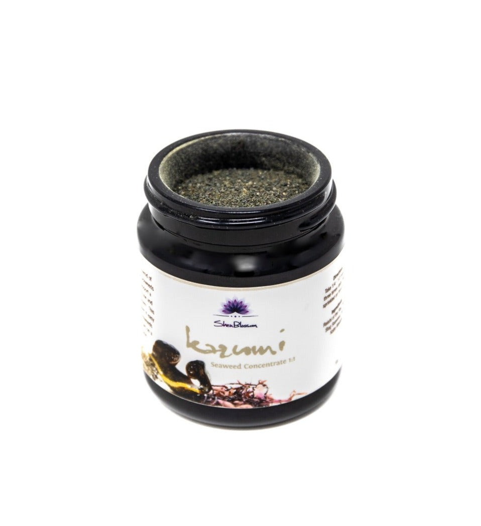 Kazumi Seaweed Powder in bottle