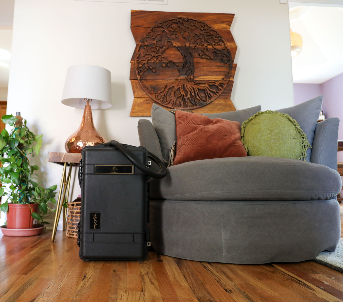 ARC PEMF sits in a living room showing that it needs little space for setup