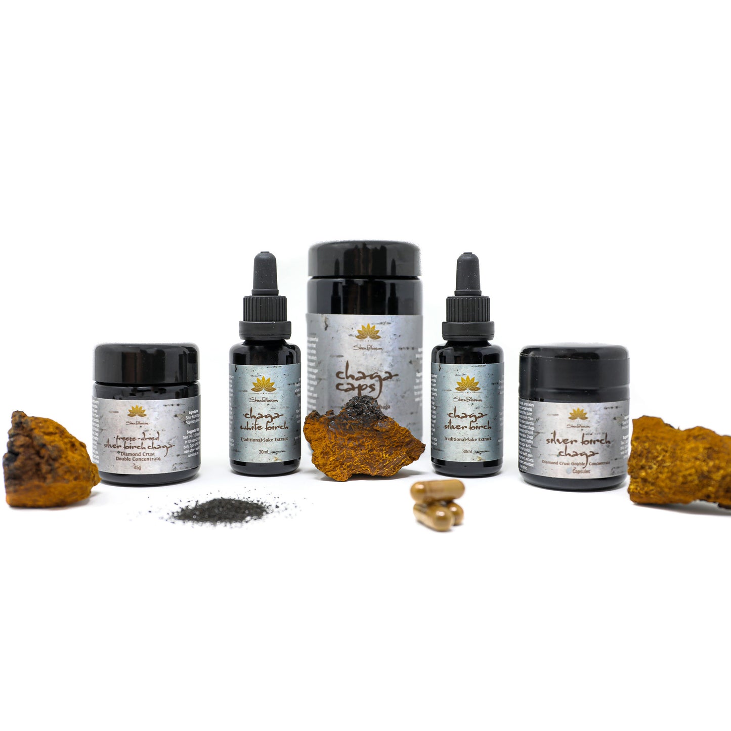 Pictured is a display of Shen Blossom's Chaga products including: Chaga Caps, Silver Birch Chaga capsules, Freeze-dried Silver Birch Chaga Concentrate, and both White & Silver Birch Chaga Sake Extracts. In front of these products sits a small pile of Silver Birch Diamond Dust, Chaga mushrooms and Chaga capsules.