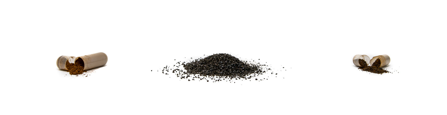 Chaga capsules and Chaga diamond crust