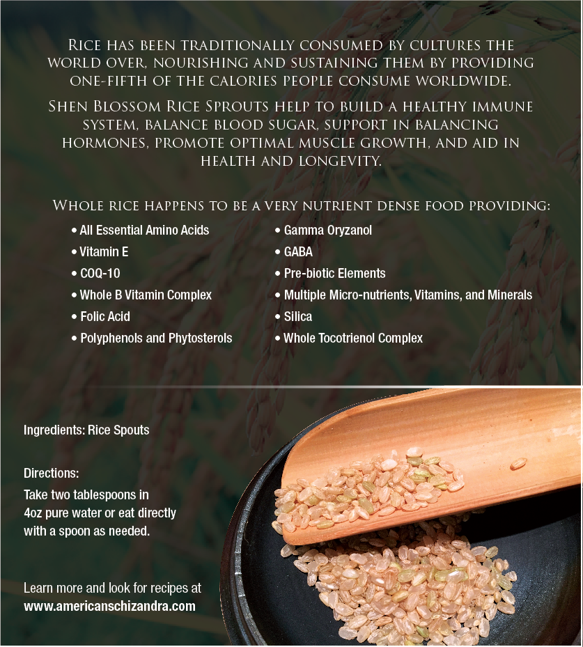 Rice Sprouts Powder back label