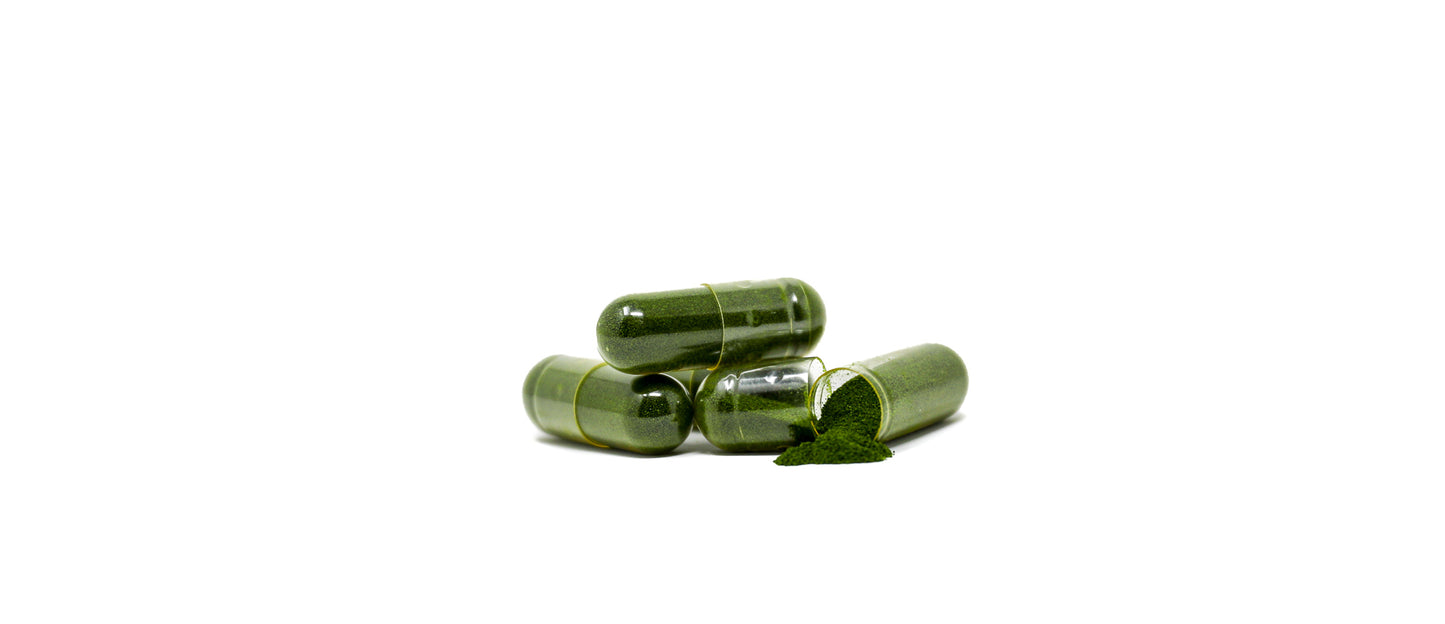 This is an up close picture of Shen Blossom's Bamboo Chlorophyll capsules and their contents photographed on a white background
