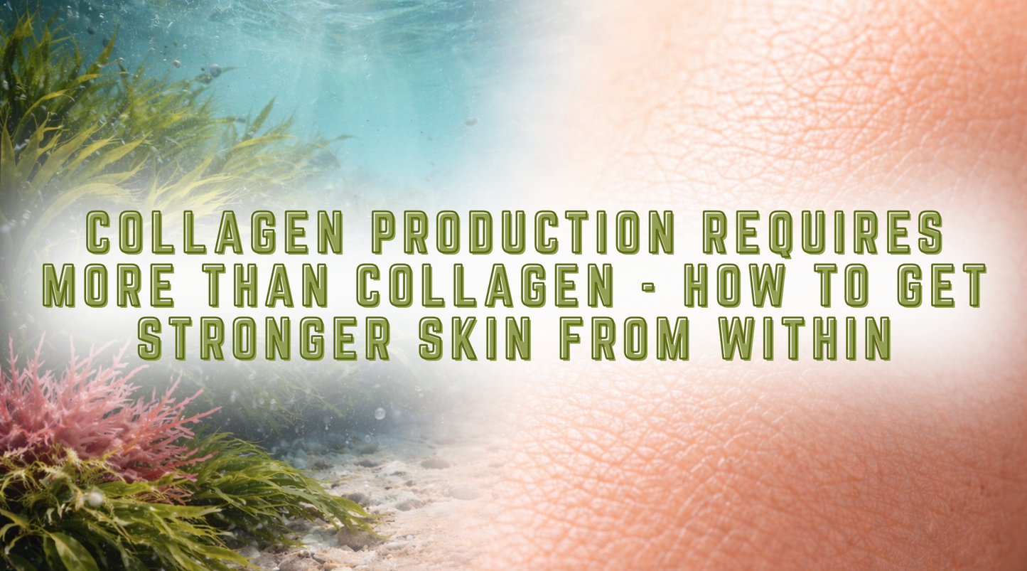 Collagen Production Requires More Than Collagen: How To Get Stronger Skin From Within